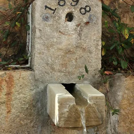 Casa Do Pinheiro Grande בית כפרי